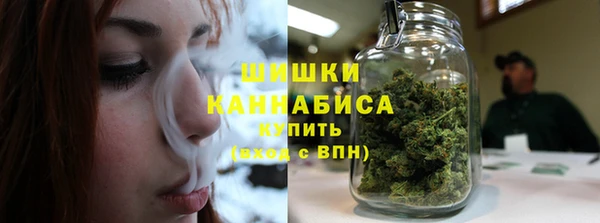 ПСИЛОЦИБИНОВЫЕ ГРИБЫ Ельня