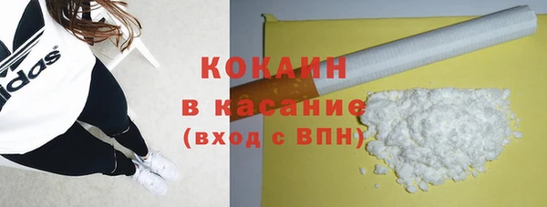 ПСИЛОЦИБИНОВЫЕ ГРИБЫ Ельня