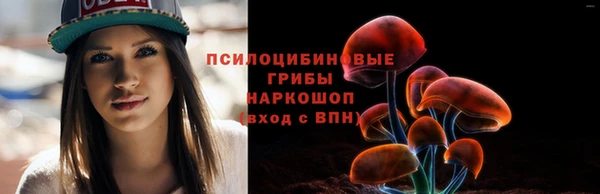 ПСИЛОЦИБИНОВЫЕ ГРИБЫ Ельня
