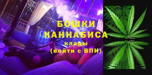 ПСИЛОЦИБИНОВЫЕ ГРИБЫ Ельня