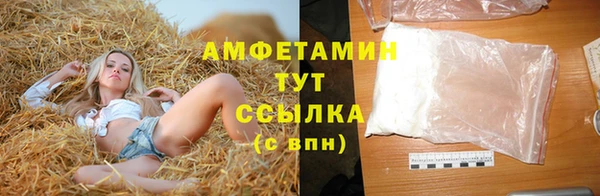ПСИЛОЦИБИНОВЫЕ ГРИБЫ Ельня