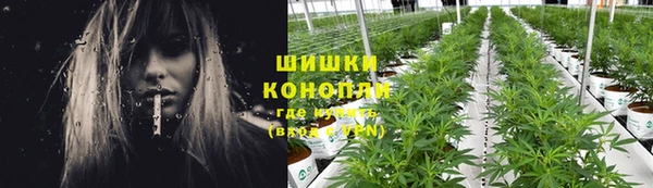 дживик Елизово