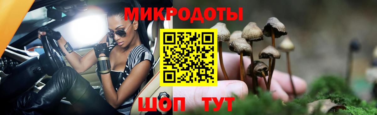Вольск  Псилоцибиновые грибы Magic Shrooms  как найти закладки  Галлюциногенные грибы Psilocybe  Вход с VPN 